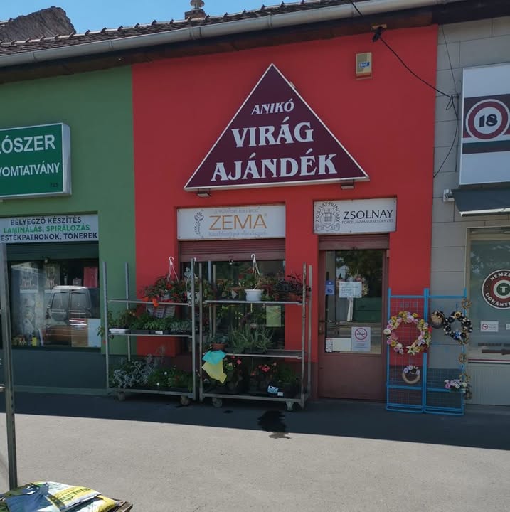 Anikó Virág és Ajándék (Zoli virág) logó